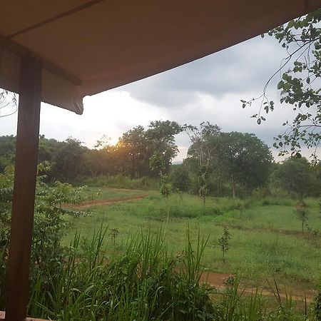 Asharo Sigiriya Villa المظهر الخارجي الصورة